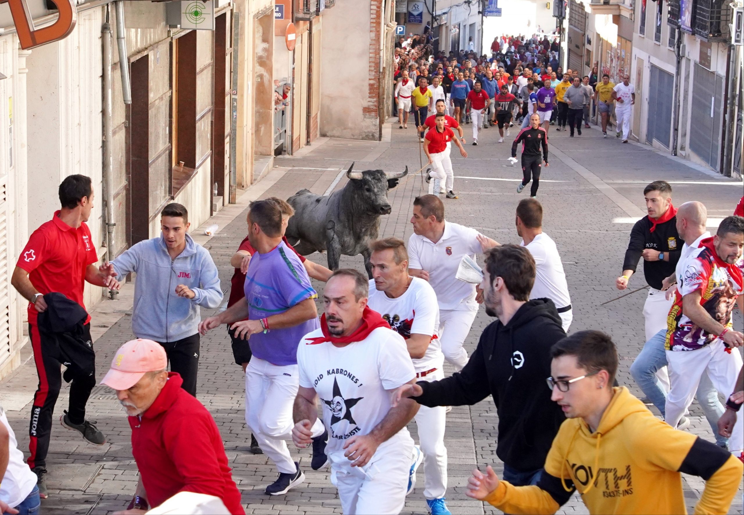 Tercer encierro de la Fiestas de Cuéllar 2023