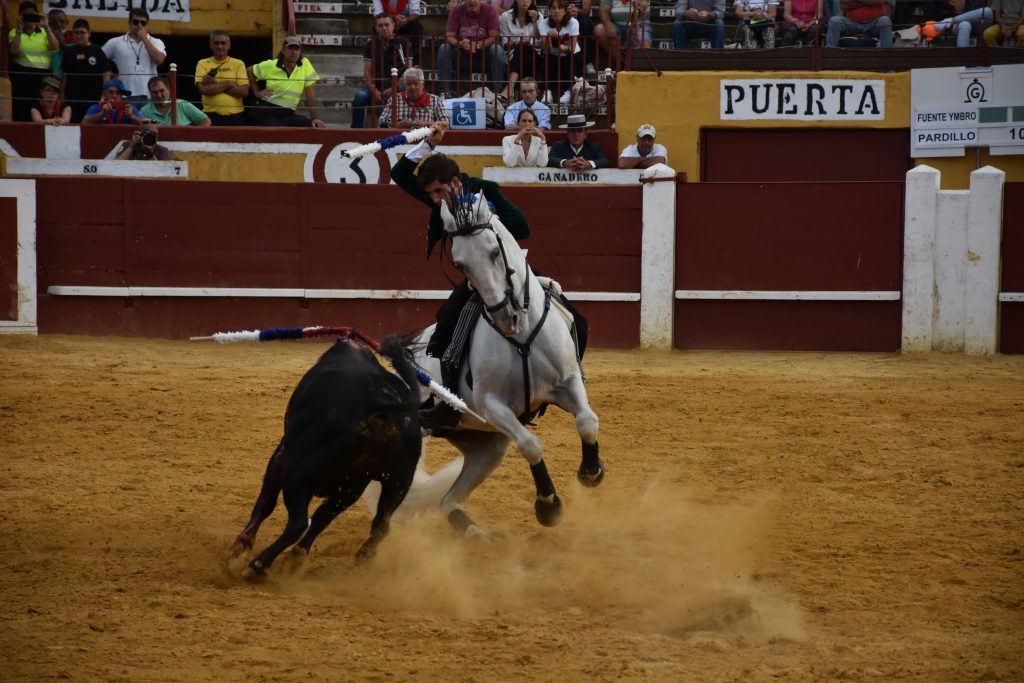 Cuéllar | La maestría de Sergio Galán, un lío de Guillermo Hermoso y la valentía de los forcados de Évora 3 Guillermo Hermoso de Mendoza clava una banderilla al quiebro./ A.M