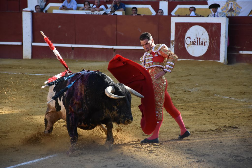 Inicio de la faena de muleta del diestro cuellarano Javier Herrero. / A.M.