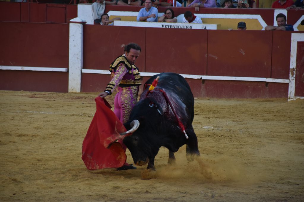 Cuéllar | El renacer de un triunfador olvidado 2 Natural de Antonio Ferrera. / A.M.