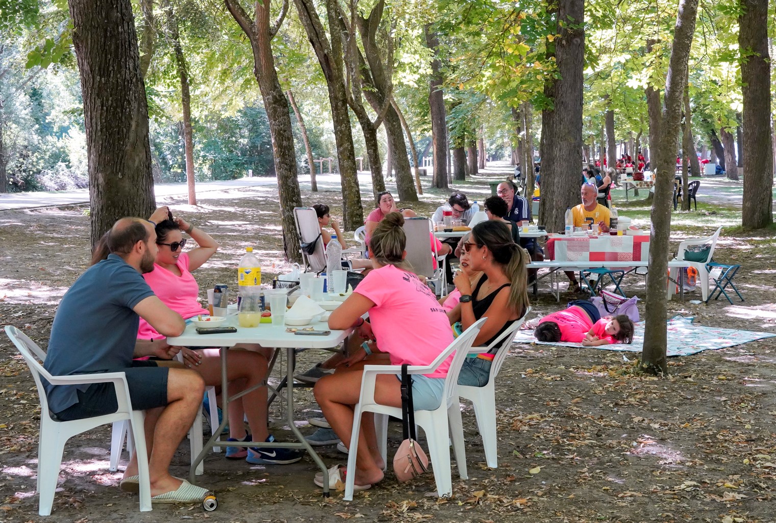 Las peñas se distribuyeron por la alameda para degustar la caldereta. / Miguel Ángel Fernández