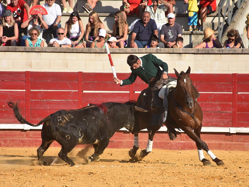 Cantalejo | La dureza de la profesión y la alegría del triunfo 5 El jinete Roberto Armendáriz, sin cabezada en el coso briquero./ A.M.