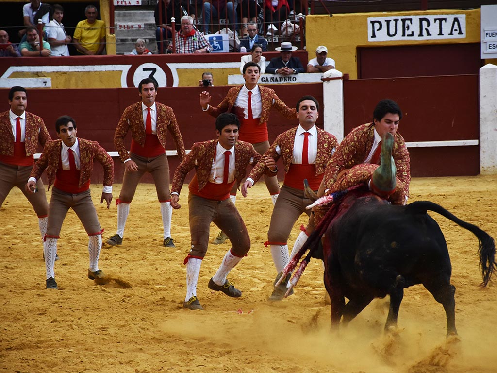 Los forcados, ídolos a pecho descubierto 2 Una de las pegas, durante el festejo de rejones. / A.M.