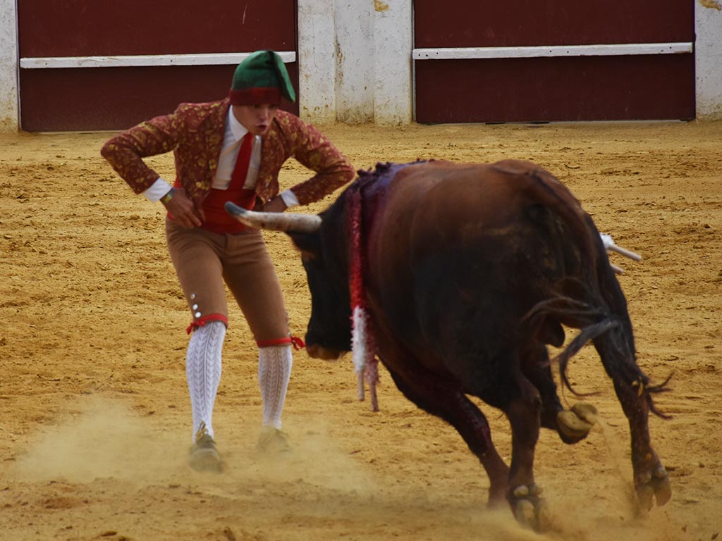 Los forcados, ídolos a pecho descubierto 4 El cabo Antonio Prazeres se dispone a acometer la embestido de un ejemplar de Fuente Ymbro. / A.M.