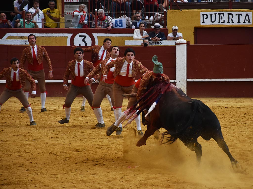Un grupo de los Forcados Amadores de Évora, durante una pega en el plaza de toros de Cuéllar. / A.M.