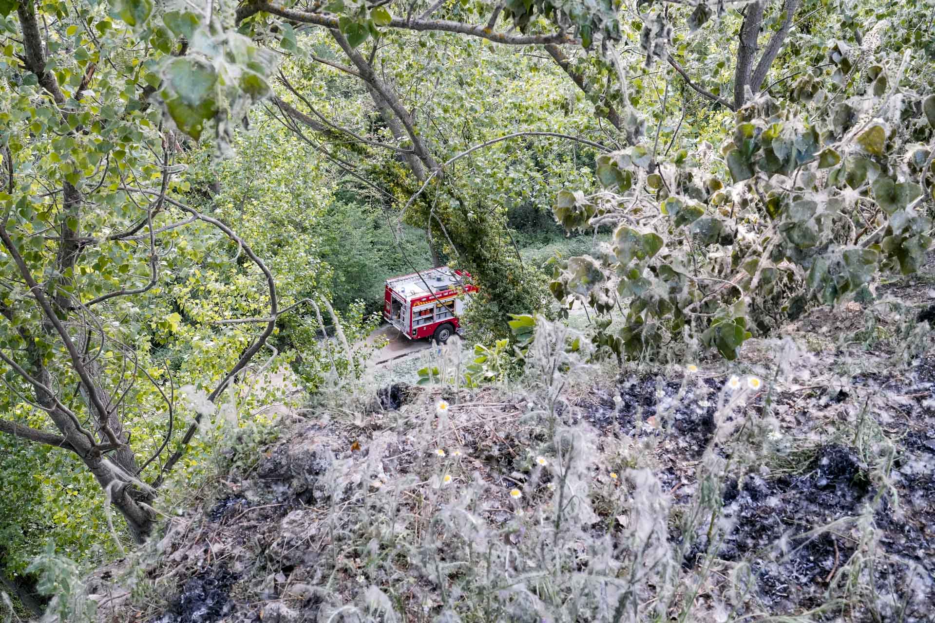 Fotografía: Miguel Angel Fernández