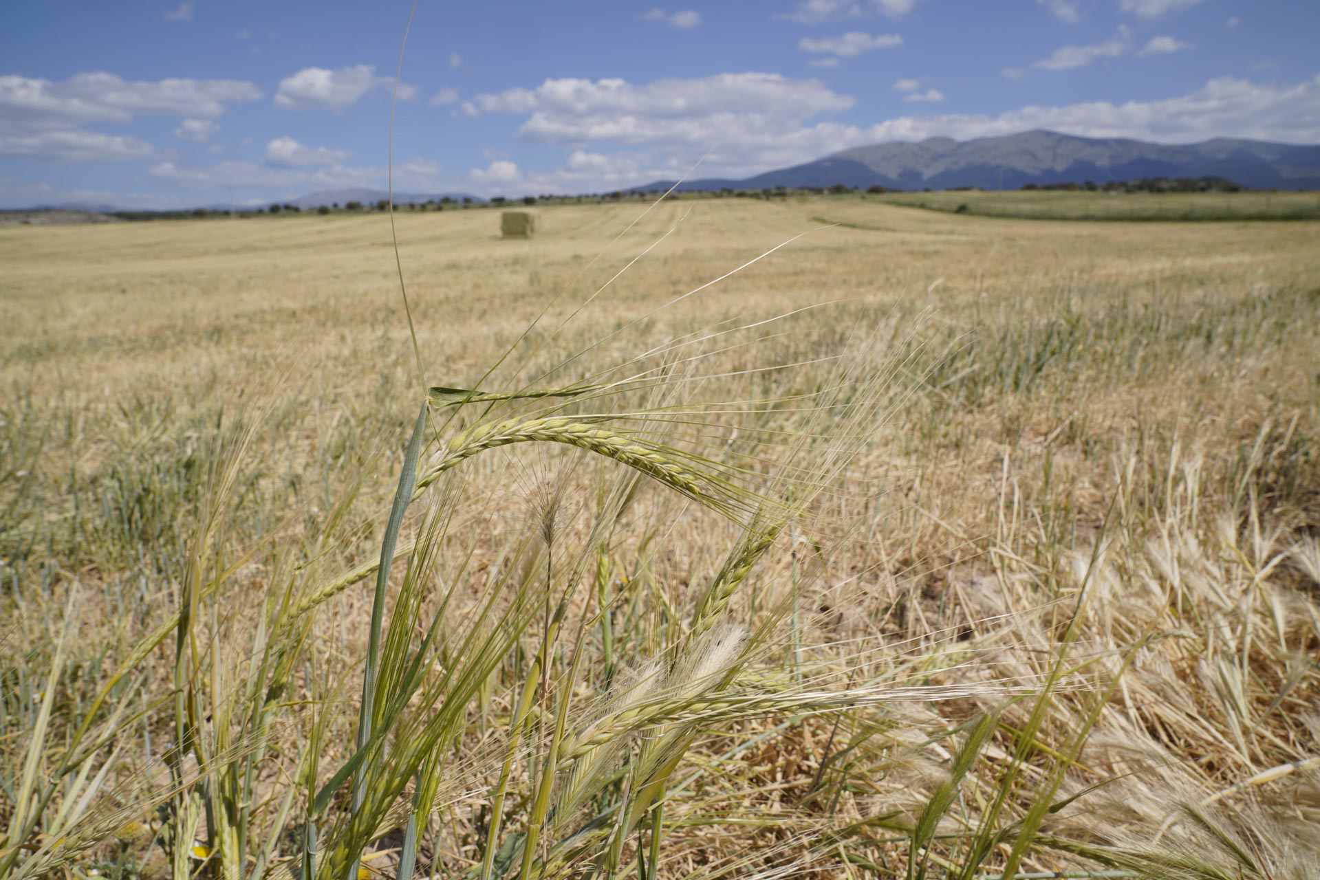Fotografía: Miguel Angel Fernández