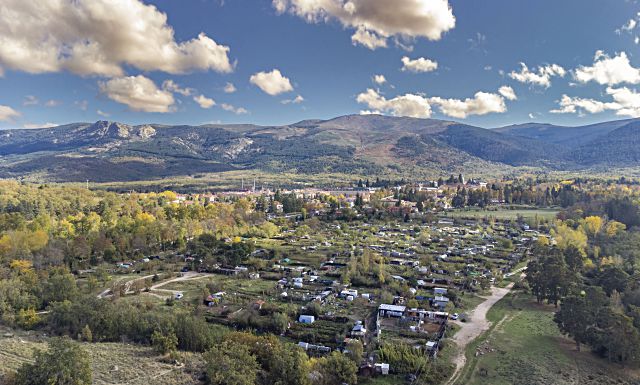 Huertas de La Granja. Enrique del Barrio