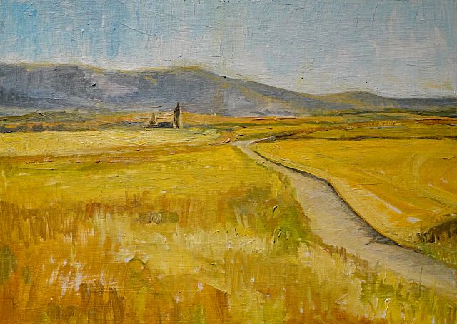 Camino amarillo. Manuela Rodríguez Tovar.