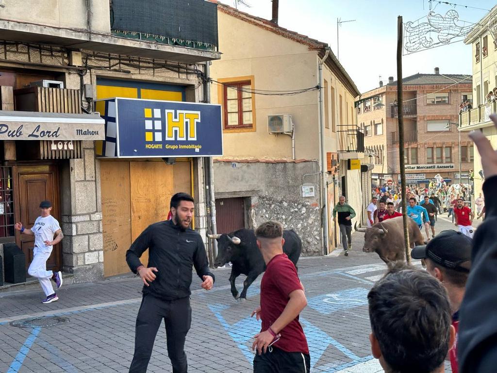 Un momento del primer encierro de las Fiestas de Cuéllar. / CHANTAL NÚÑEZ