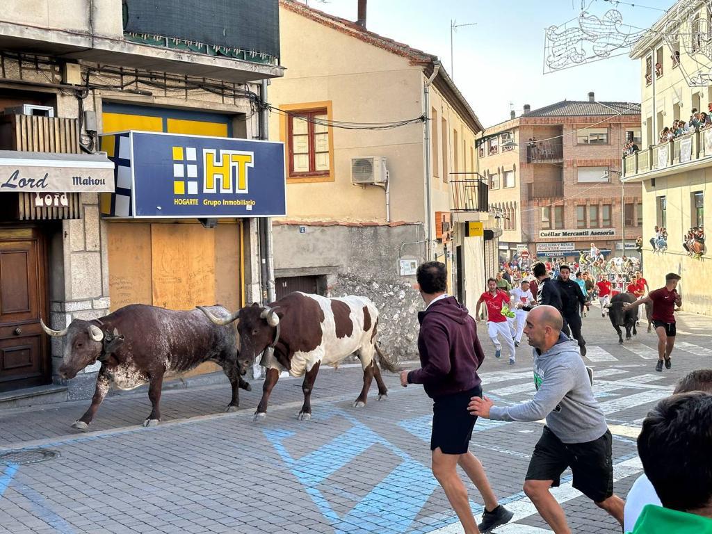 El primer encierro de las fiestas de Cuéllar fue rápido y limpio.