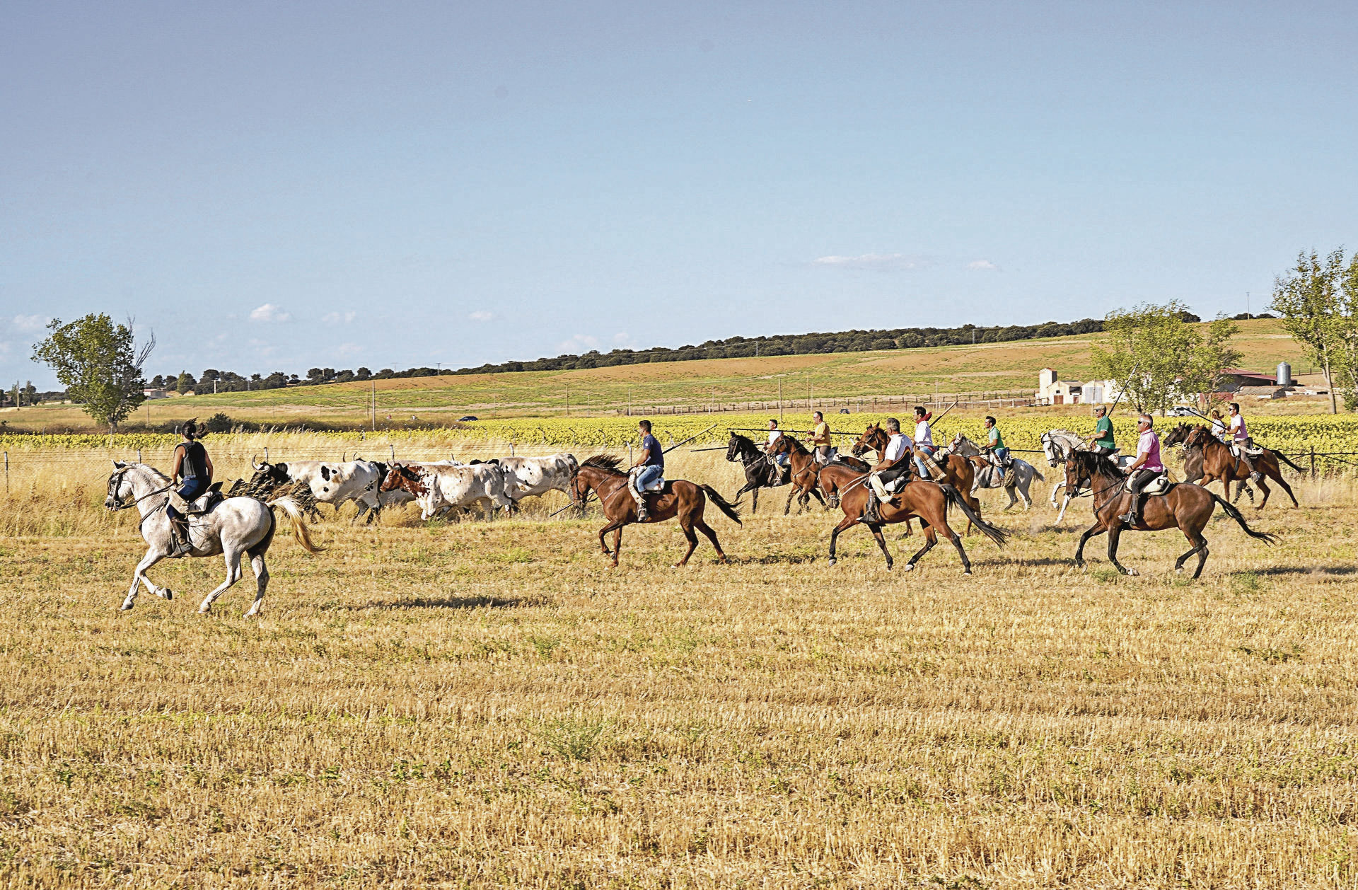 MIGUEL ÁNGEL FERNÁNDEZ