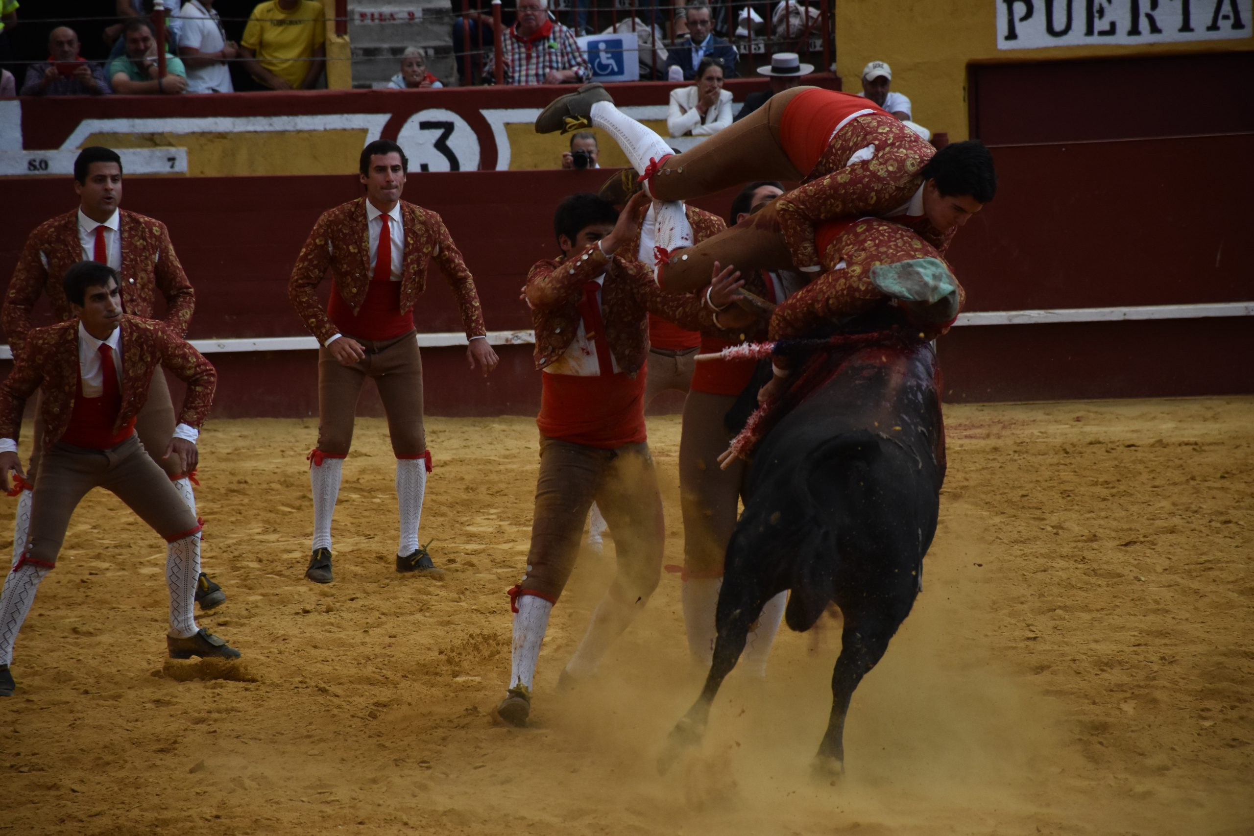 Pega de los forcados de Évora. / A.M.