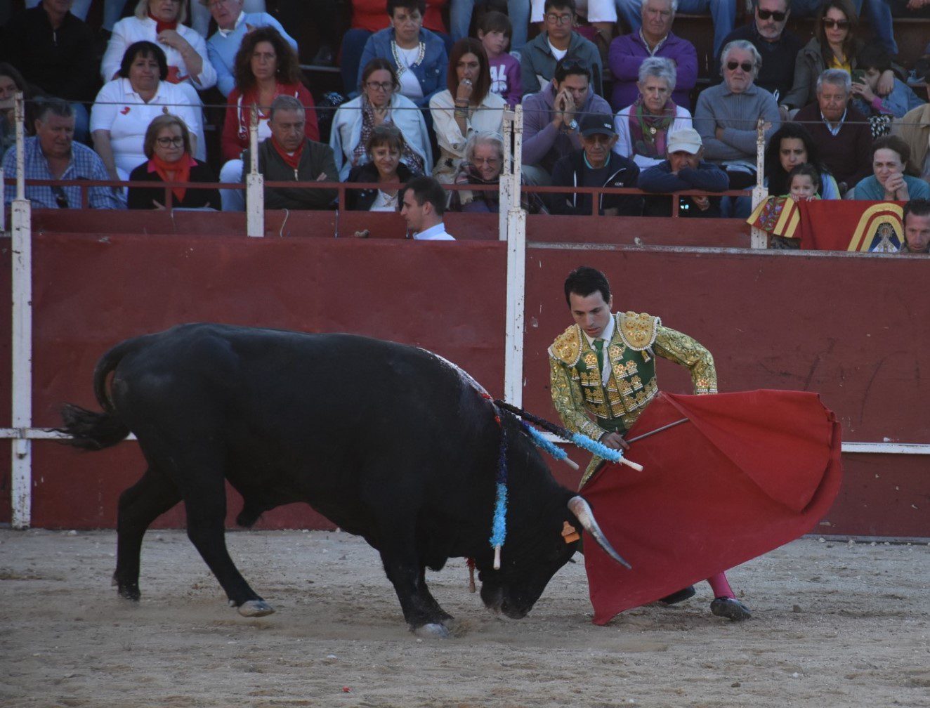 El novillero local Eusebio Fernández comienza la faena de muleta. / A.M.