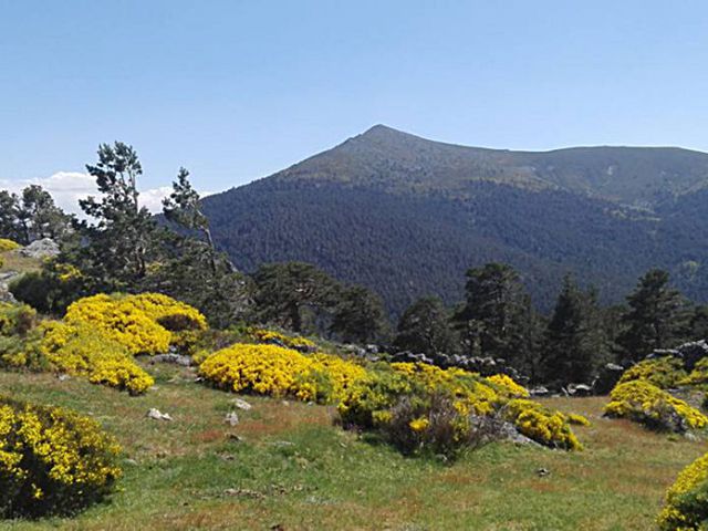 Parque Nacional Sierra de Guadarrama. / E. A.