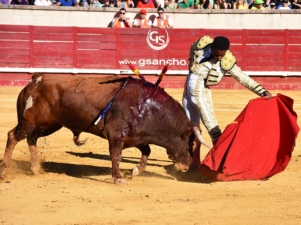 Natural largo de Igor Pereira, con el toro de la alternativa, de la ganadería de Hermanos Cambronell./ A.M.