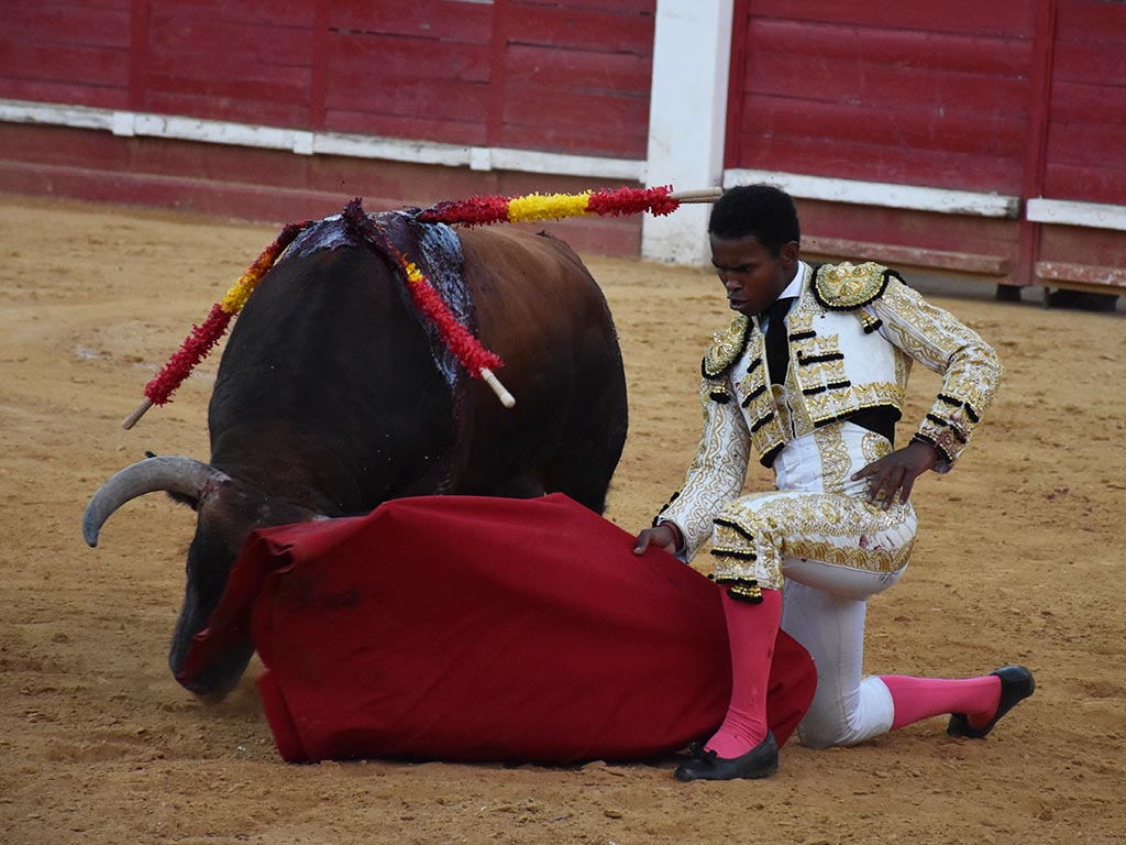 Pase de Igor Pereira, rodilla en tierra, con el último toro de la tarde. / A.M.