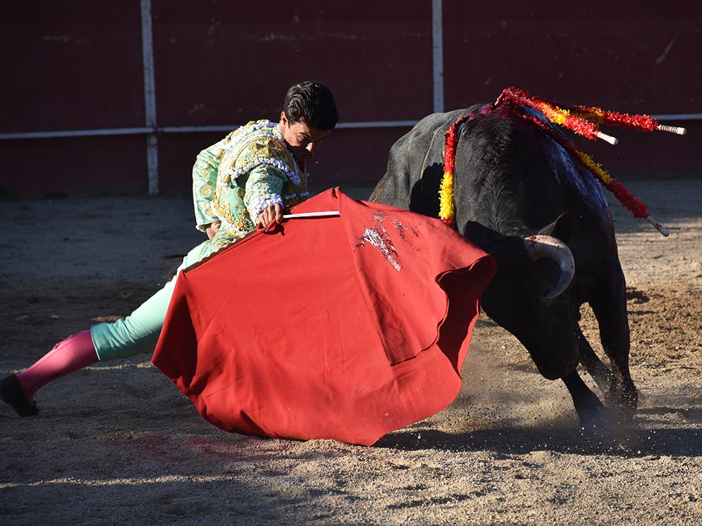 La Granja | Nueva conquista de Olga Casado 4 Inicio de la faena de muleta de Víctor Cerrado rodilla en tierra./ A.M.