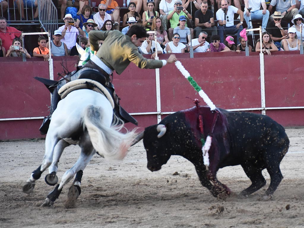 La Granja | Nueva conquista de Olga Casado 6 El rejoneador Adrián Venegas cierra el primer festejo de la Feria. / A.M.