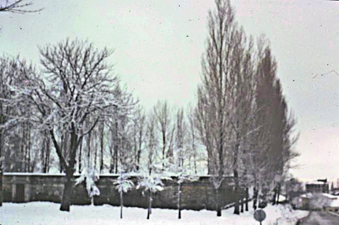 Los Depósitos en fotografía de 1960. Sólo chopos y algunos castaños de Indias quedaban de las plantaciones de principios de siglo. Archivo JMS.