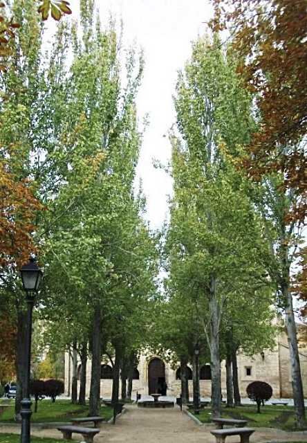 Vista del jardín de Santo Tomás, con la mínima glorieta, los bancos y la fuente. JMS.