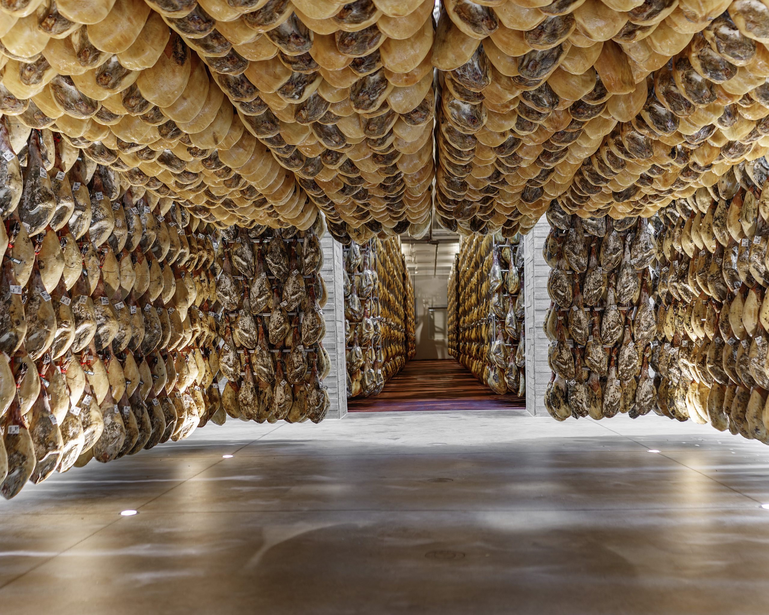 Campus del Jamón de MonteNevado