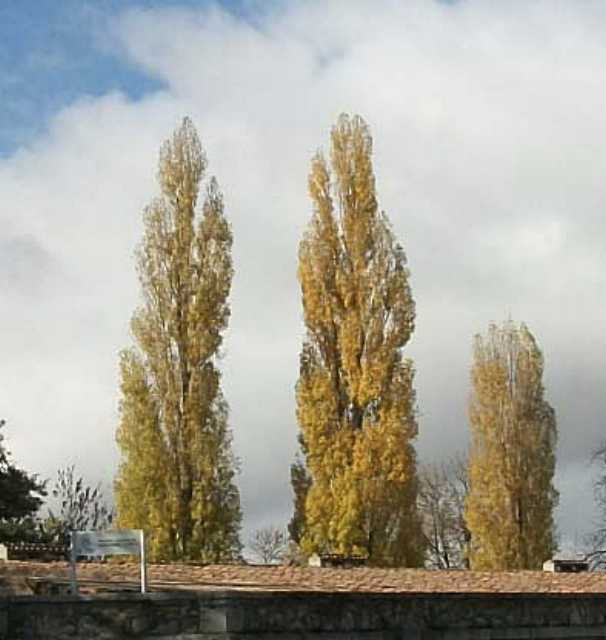 El parque de los depósitos 3 Chopos en otoño. JMS.