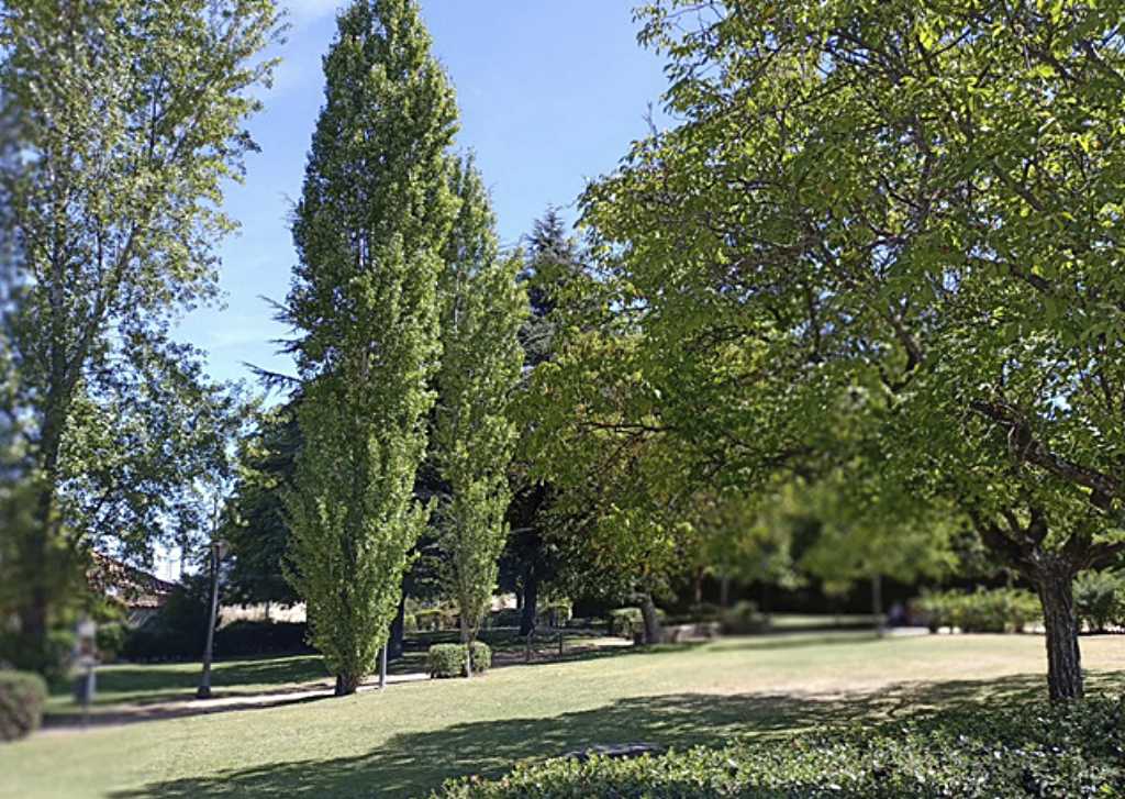 El parque de los depósitos 4 Vista del interior del parque. JMS.