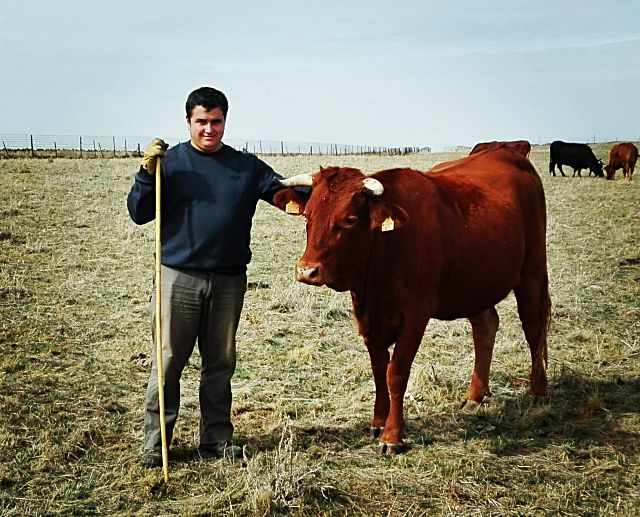 La ganadería segoviana se está viendo afectada por la expansión de la enfermedad EHE en toda la provincia 3 Adrián Gómez, responsable de Vacuno de Carne de la UCCL.
