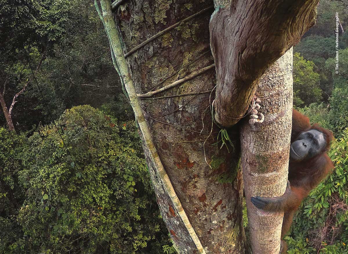 De Polo a Polo, exposición