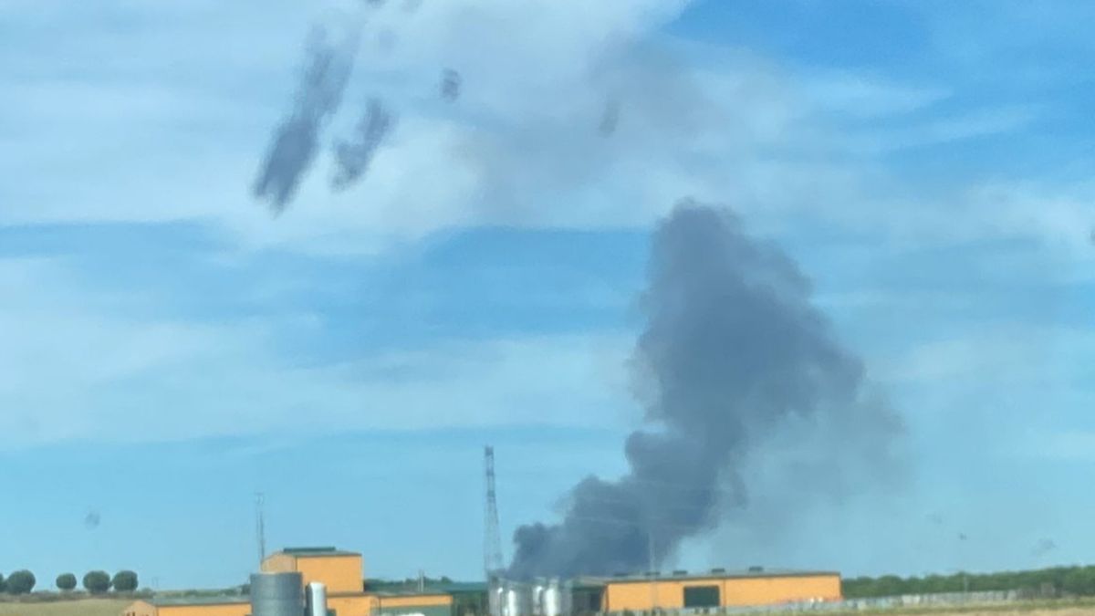 El incendio activo en Chatún ha afectado más de 11 hectáreas de pinos.