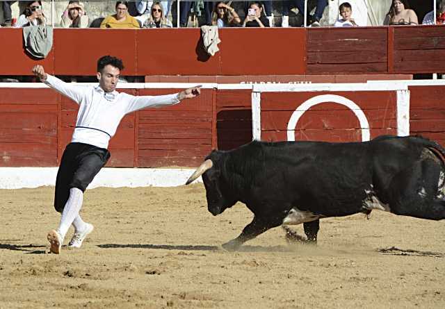 Ivan González aguantando la entrada del novillo. / A. MARUGÁN