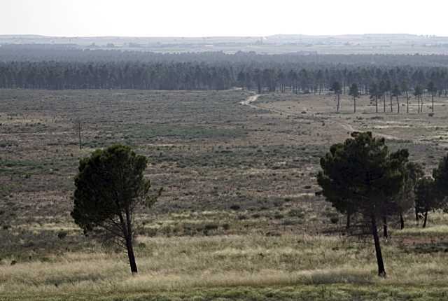 Concentración forestal en Santa María de Nieva (Segovia)
