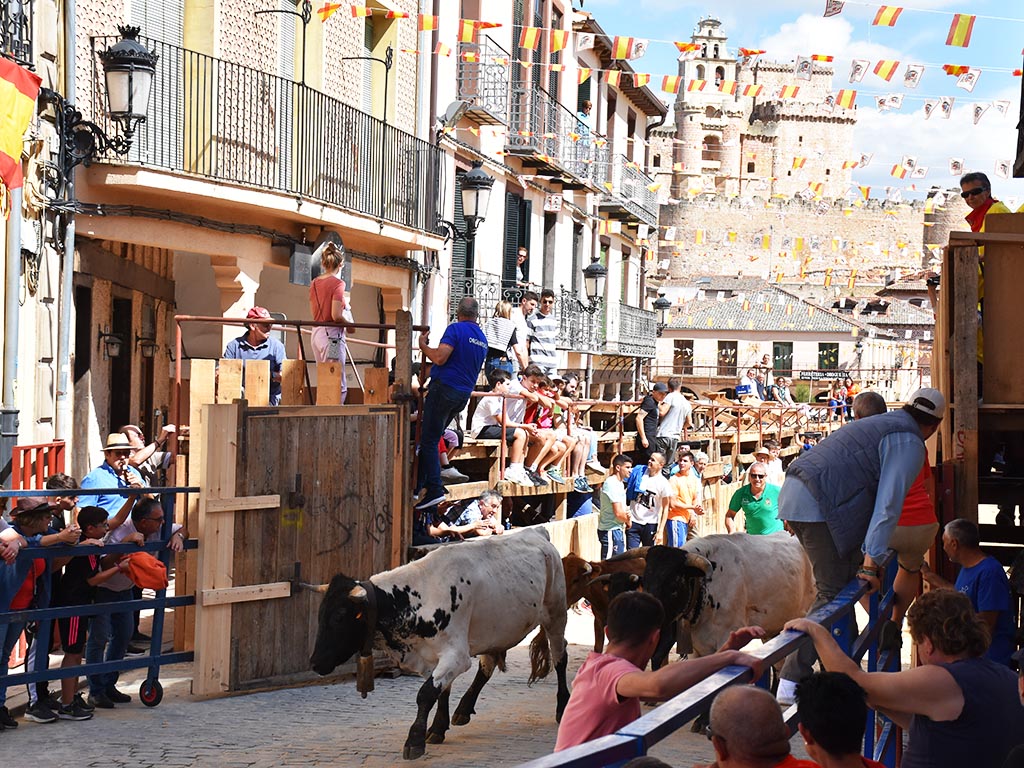 Último encierro de Turégano y probadilla. / A.M.
