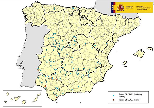 La ganadería segoviana se está viendo afectada por la expansión de la enfermedad EHE en toda la provincia 4 Focos de Enfermedad Hemorrágica Epizoótica