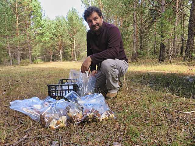 José Miguel Altelarrea, técnico del área micológica del Cesefor, muestra el trabajo que realiza en una parcela.