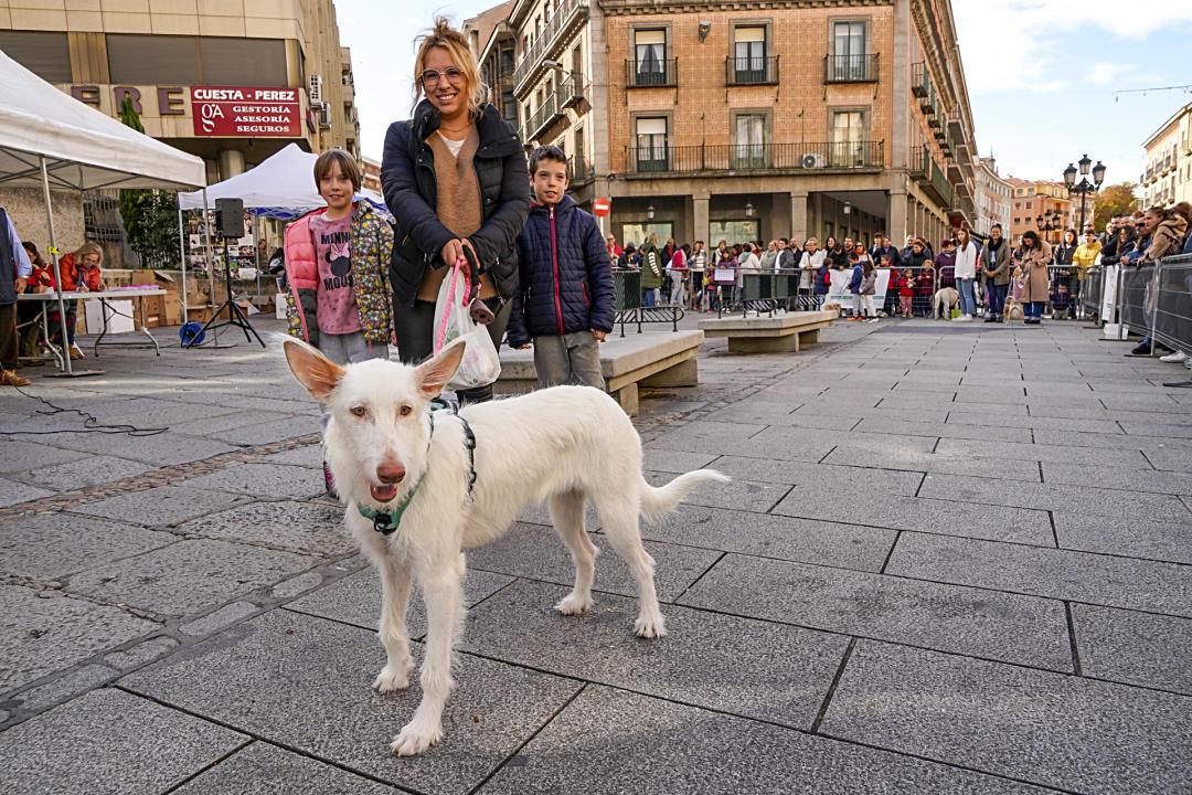 Una familia muestra a su perro en el particular “desfile” de la Avenida del Acueducto.