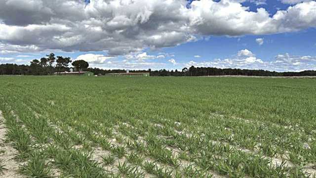 Imagen de una de las superficies de El Carracillo.