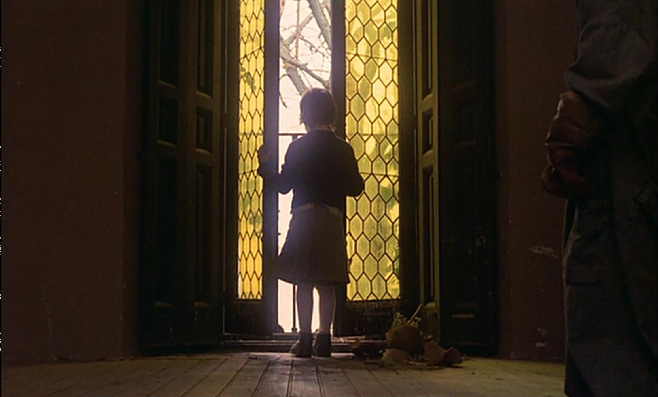 Ana observa el exterior con la esperanza de ver al monstruo. Ana observa el exterior con la esperanza de ver al monstruo.