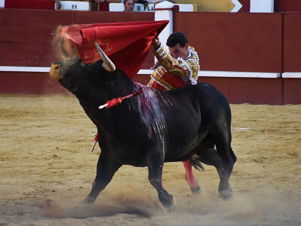 Pase pecho de Fernando Adrián en Cuéllar, a un toro de la ganadería de Alcurrucén. / A.M.