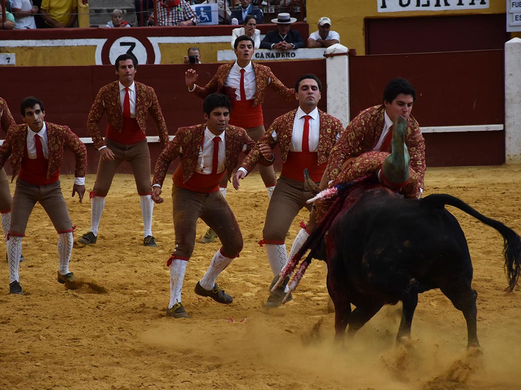 Pega de los forcados amadores de Évora, en Cuéllar. / A.M.