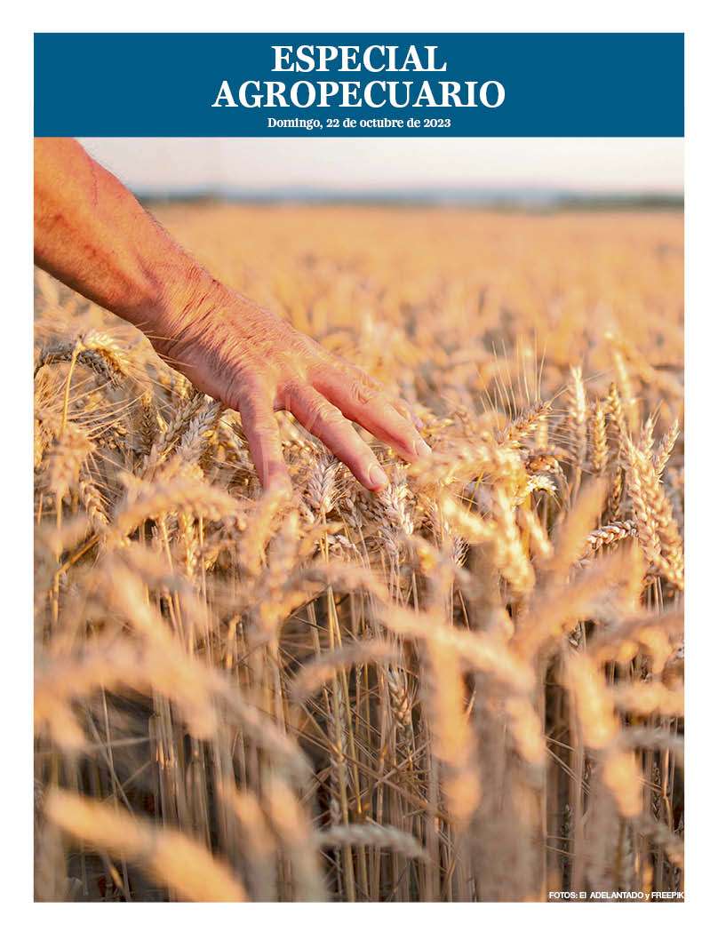 Especial agropecuario