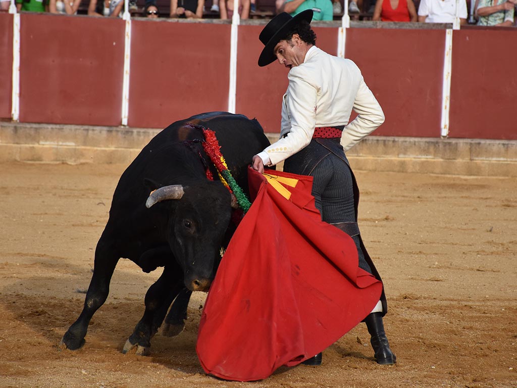Detalle de Finito de Córdoba, en Mozoncillo. / A.M.