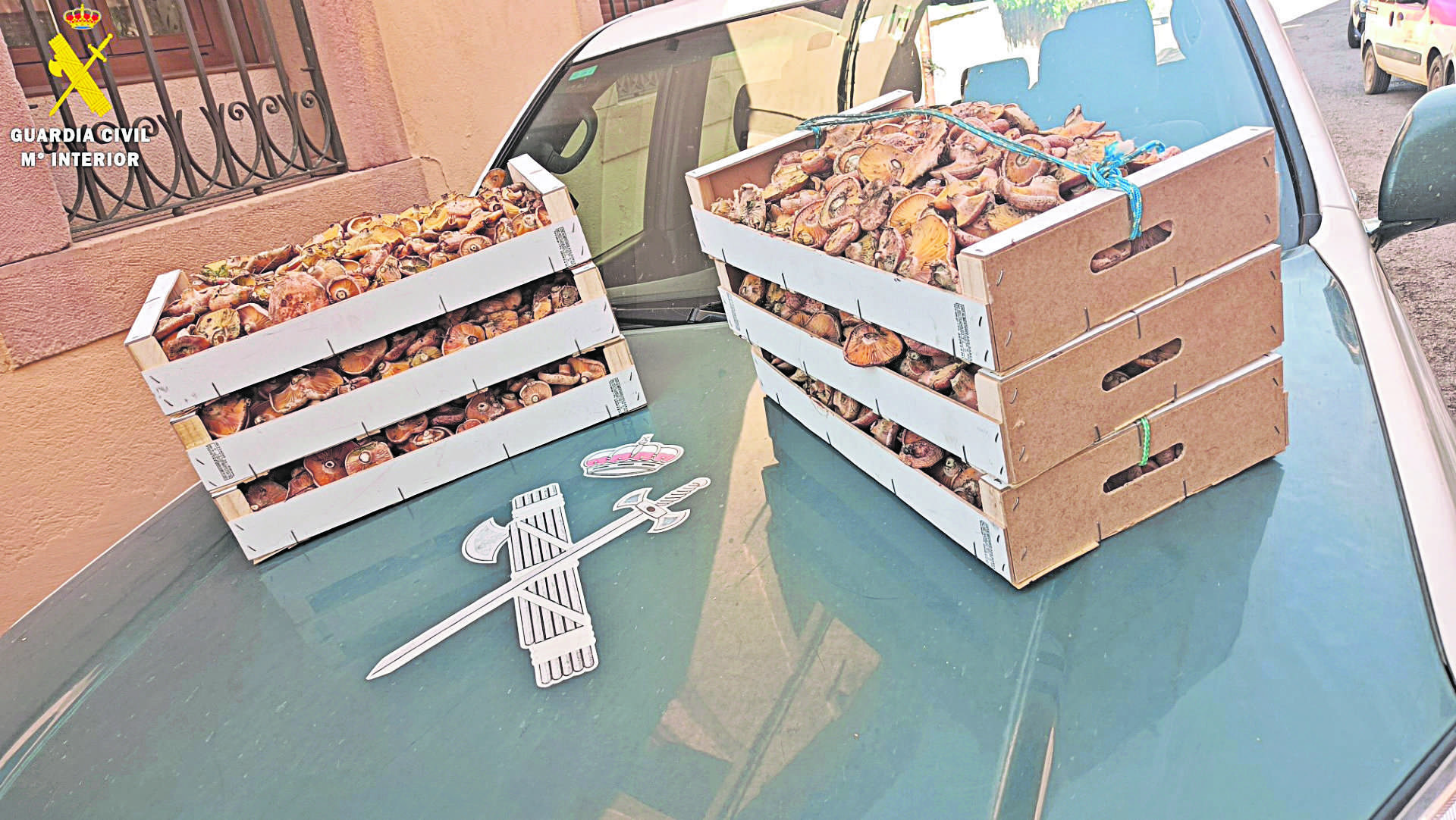 ok Niscalos PPN Ayllon 07 10 2023