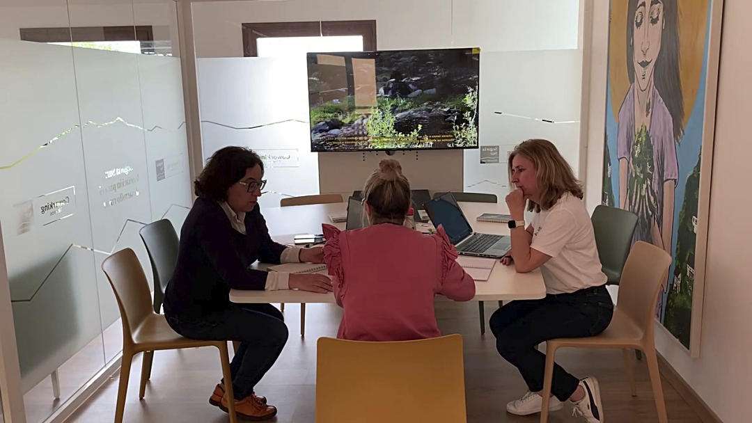 Mujeres trabajando el espacio de coworking.