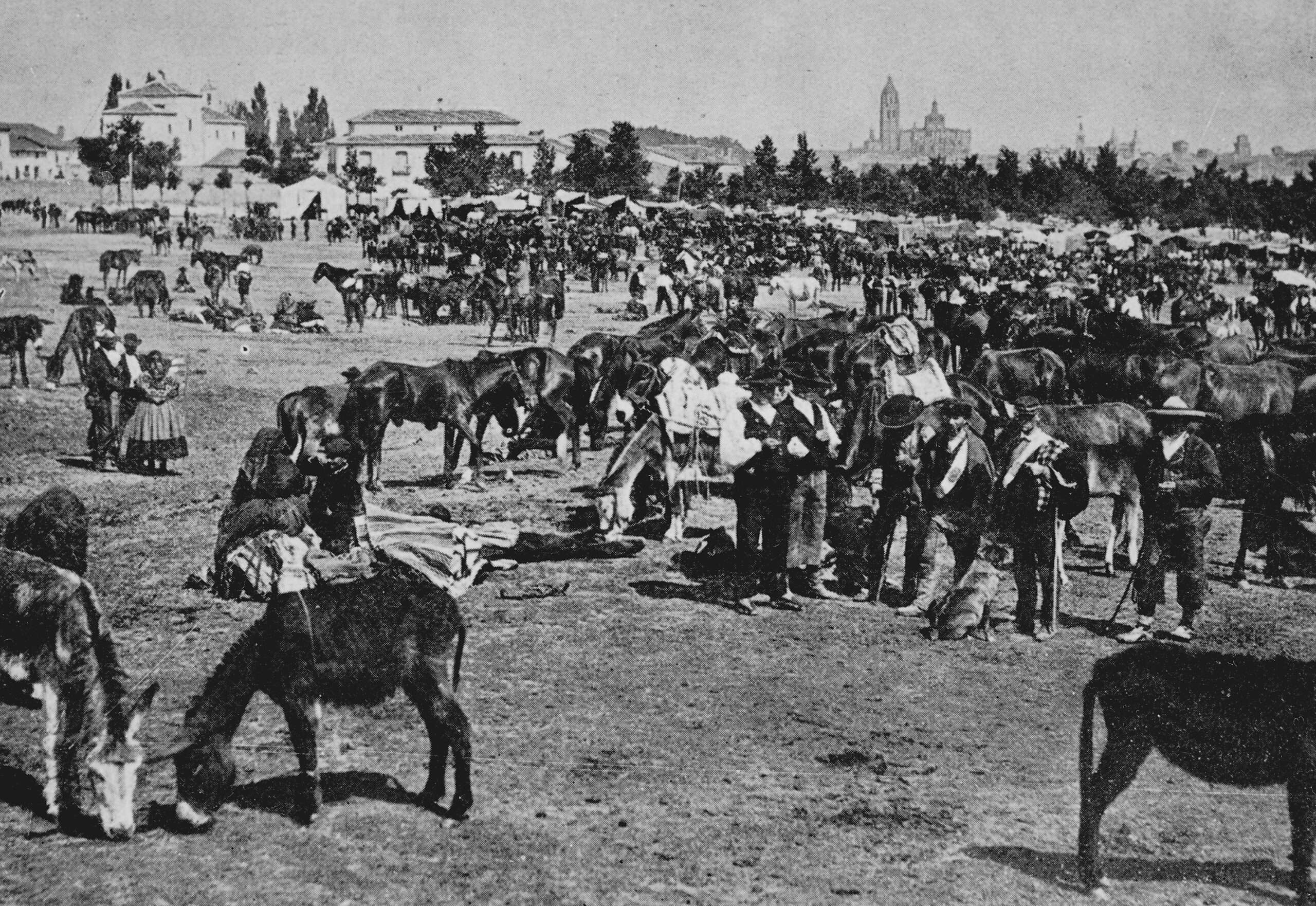 1 Dehesa levy Davía