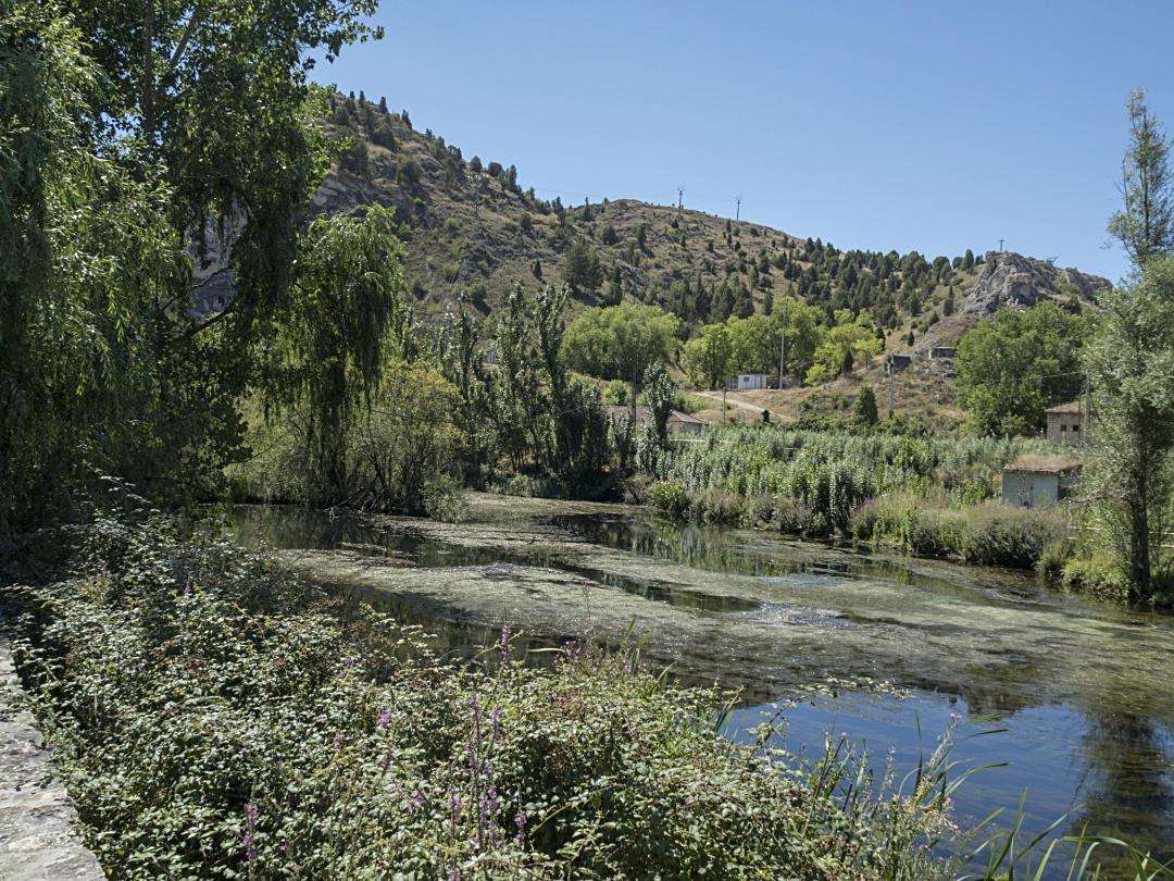 OLYMPUS DIGITAL CAMERA OLYMPUS DIGITAL CAMERA