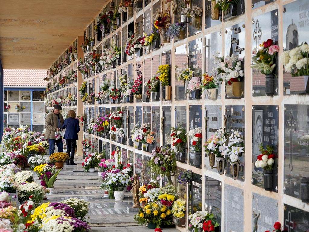 Día de 'Todos los Santos' en el Cementerio de Segovia. / MIGUEL ÁNGEL FERNÁNDEZ