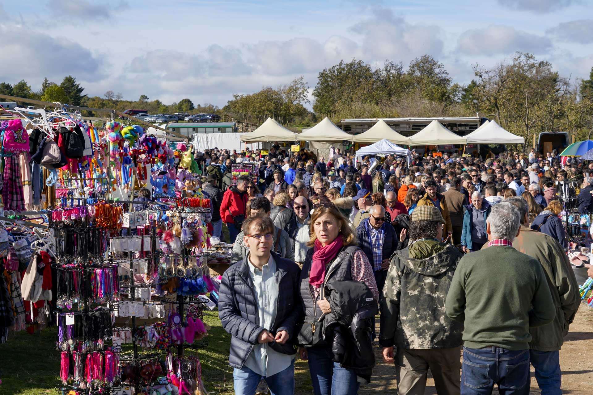Feria del Ganado en Navafría