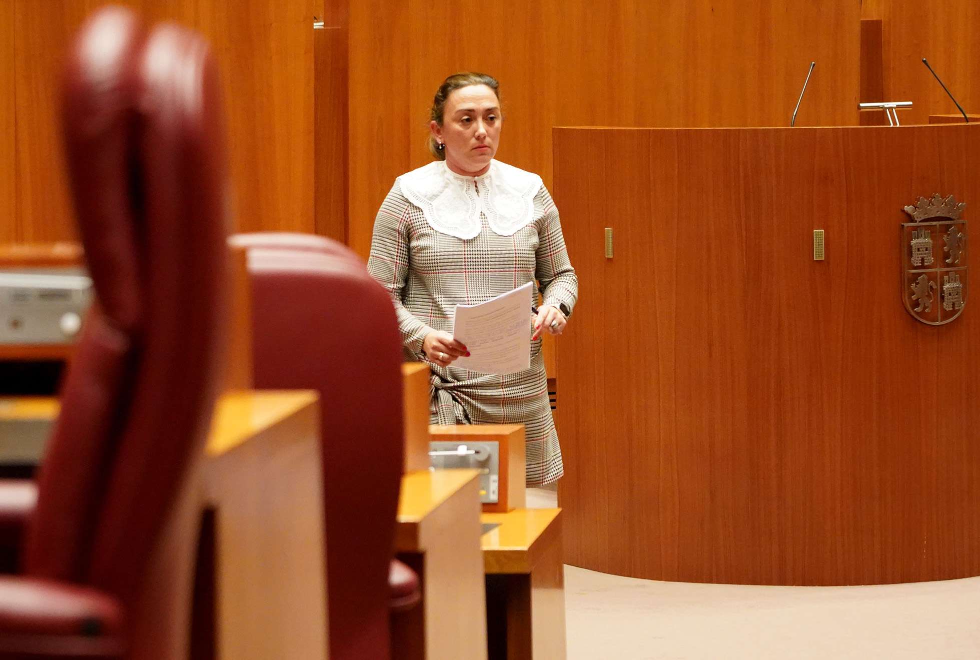 Pleno de las Cortes de Castilla y Le